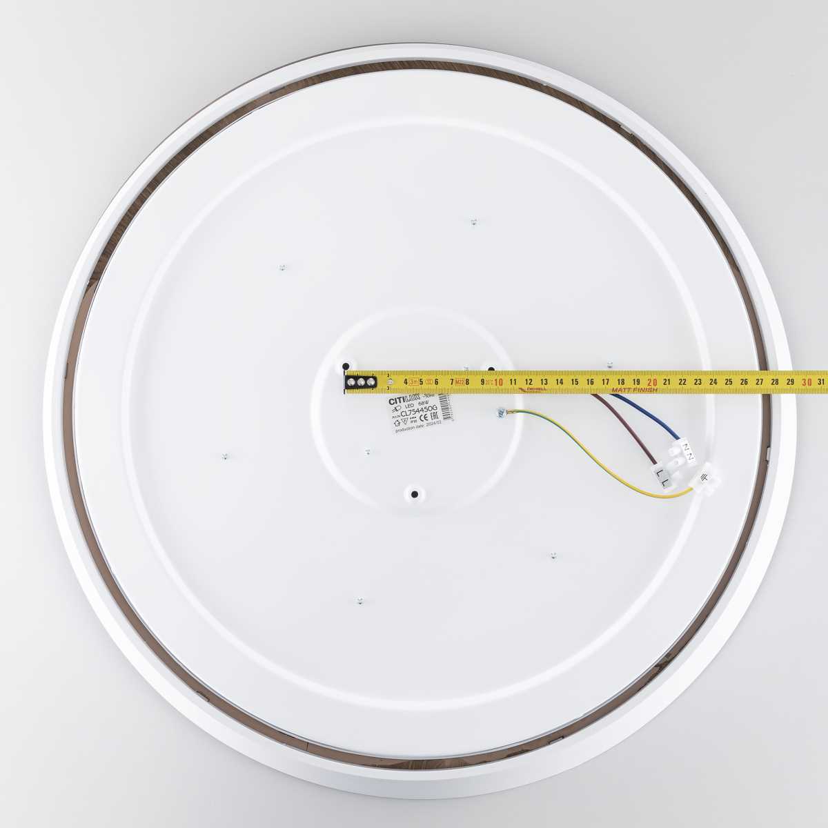 Потолочный светодиодный светильник Citilux Bonny CL754450G 1