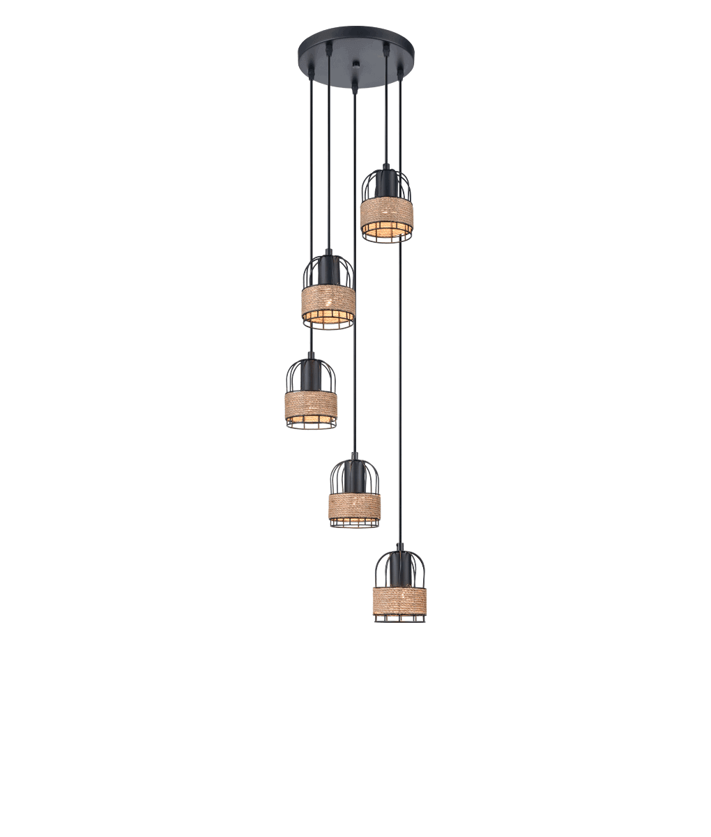 Подвесной светильник Vele Luce Extra VL6472P05 5