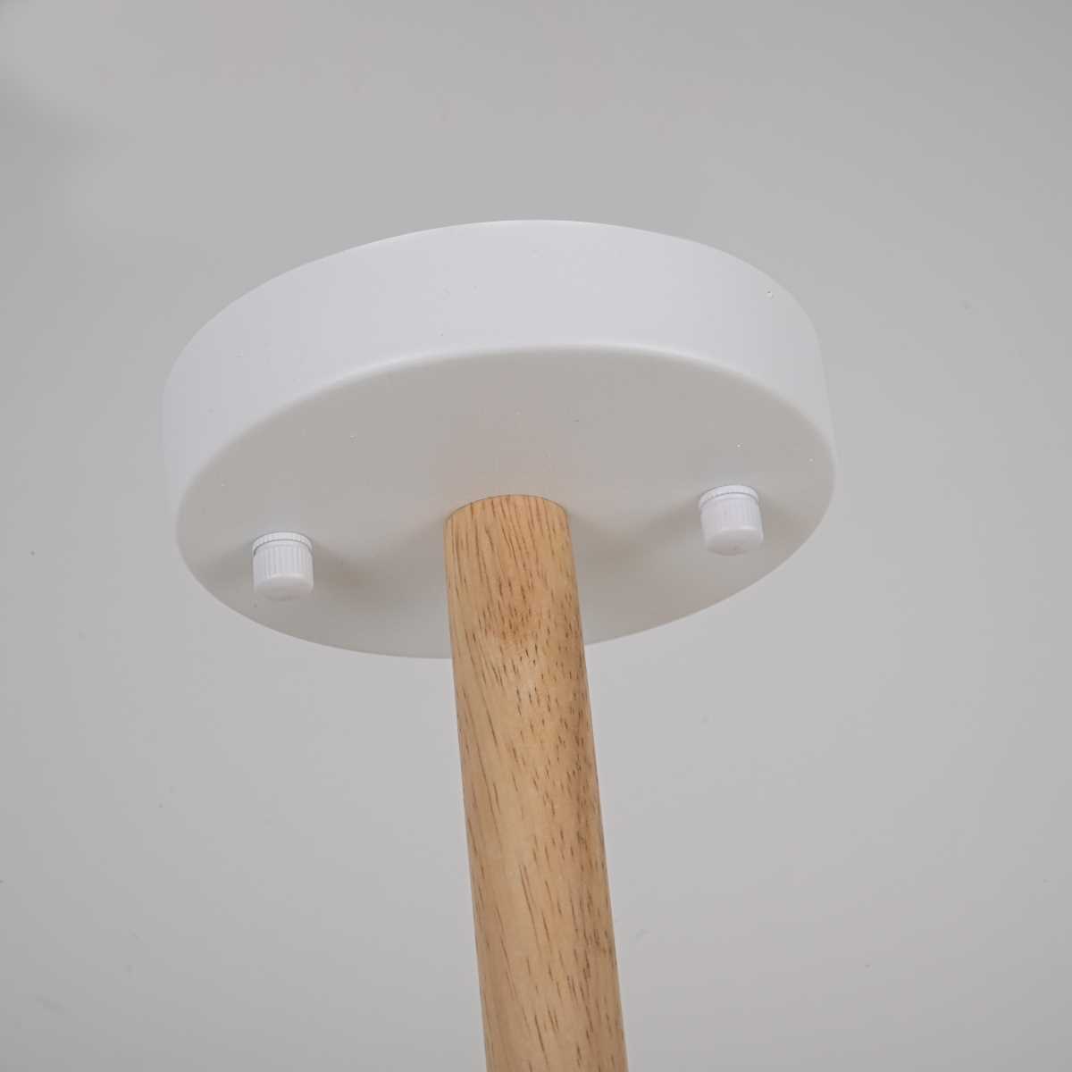 Потолочная люстра Imperium Loft Finch 178022-26 1