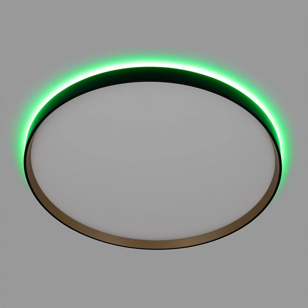 Светильник с пультом Citilux ETALON CL750501R Фото № 16