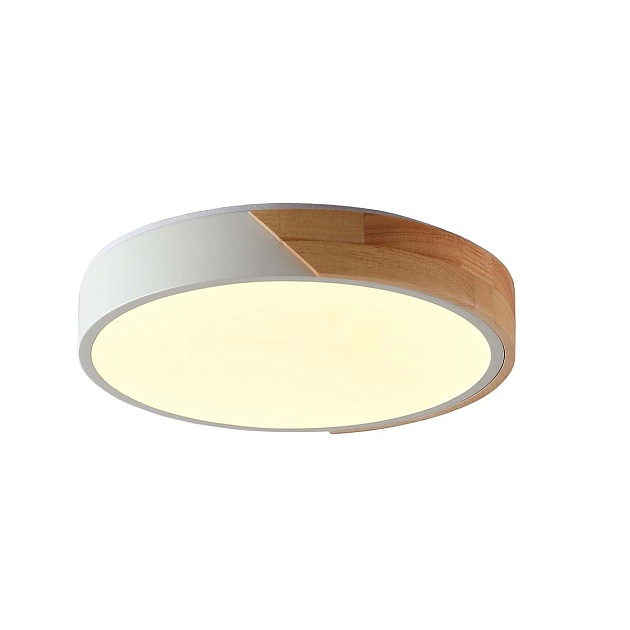 Потолочный светильник Zortes ALBERRO ZRS.01289.24 Фото № 1