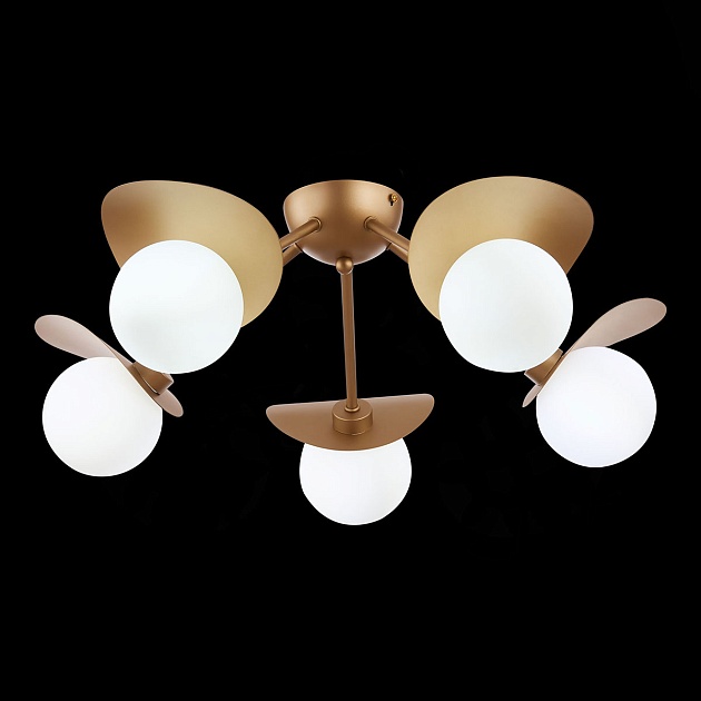 Потолочная люстра Evoluce Bolzano SLE220502-05 Фото № 5