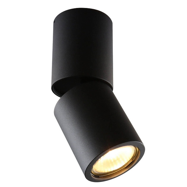 Спот Divinare Gavroche Posto 1800/04 PL-1 Фото № 1