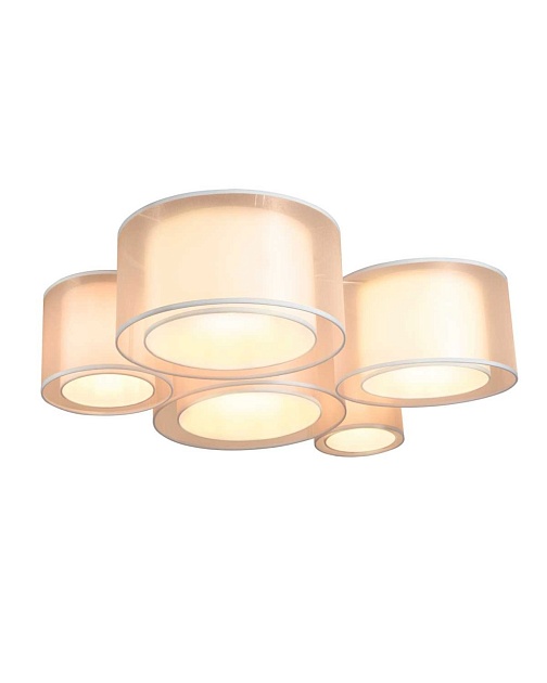 Светильник потолочный Moderli Massa V11398-5C Фото № 1