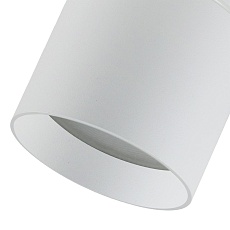 Уличный светильник Favourite Fantum 4662-1U 2