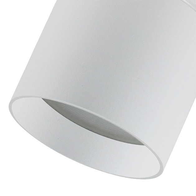 Уличный светильник Favourite Fantum 4662-1U изображение 3 Уличный светильник Favourite Fantum 4662-1U Фото № 3