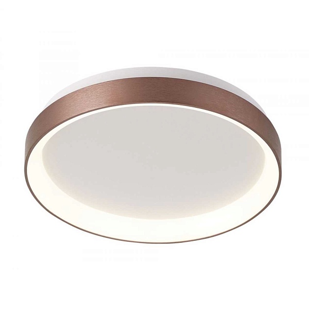 Потолочный светодиодный светильник Deko-Light Mirach 348134 Фото № 1
