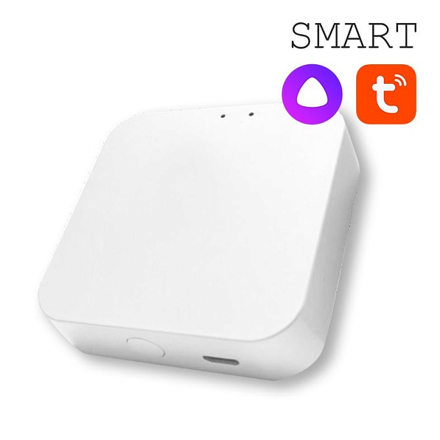 Конвертер WI-FI EKS Colibri Smart 0У-00002005 Фото № 1