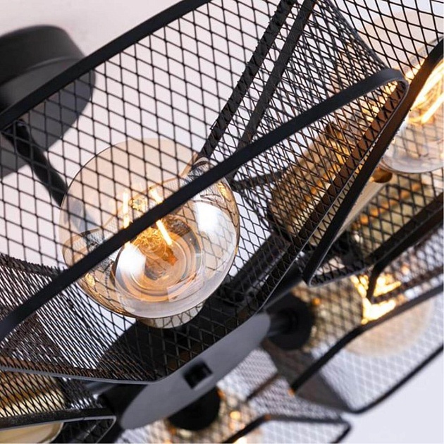 Потолочная люстра Arte Lamp Maasym A7044PL-8BK изображение 3 Потолочная люстра Arte Lamp Maasym A7044PL-8BK Фото № 3