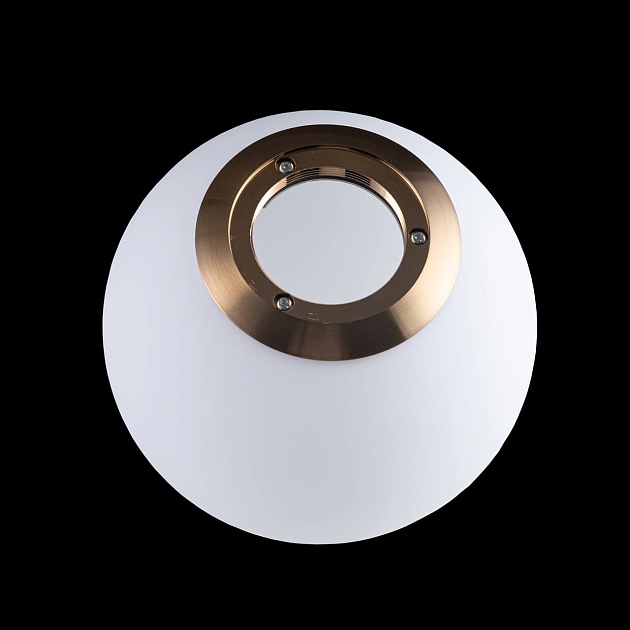 Подвесной светильник Loft IT Glob LOFT2595-A Фото № 2