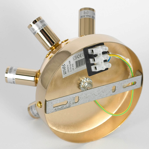 Потолочная люстра Lussole Loft Davie LSP-8782 Фото № 2