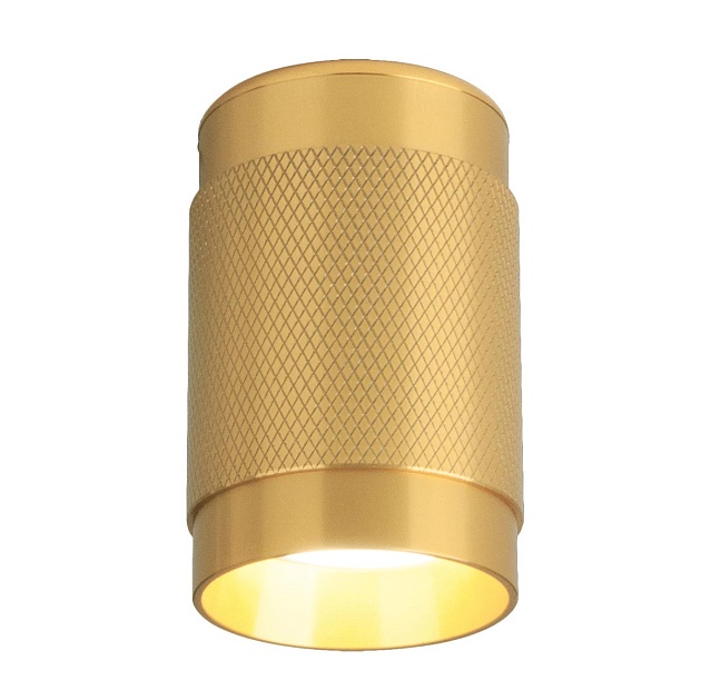 Потолочный светильник Elektrostandard Tony DLN109 GU10 золото a047741 Фото № 1