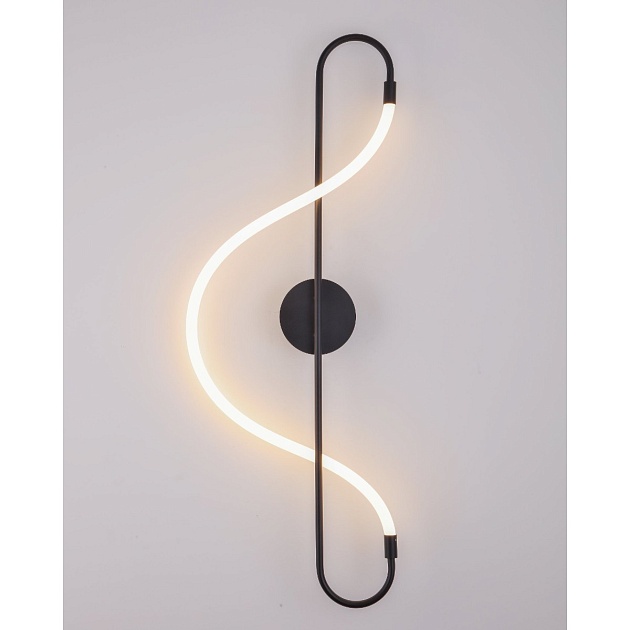 Настенный светодиодный светильник Arte Lamp KLIMT A2850AP-13BK Фото № 1