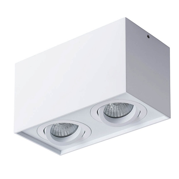 Потолочный светильник Arte Lamp Factor A5544PL-2WH Фото № 1