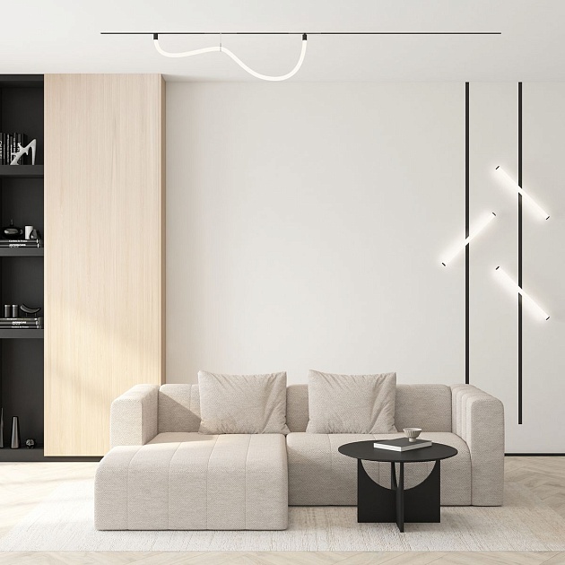 Трековый светодиодный светильник Denkirs Smart Ray DK8065-BK изображение 4 Трековый светодиодный светильник Denkirs Smart Ray DK8065-BK Фото № 4