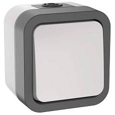 TORS Выключатель двухполюсный одноклавишный 10А IP55 TS211 серо-белый IEK TS-V16-0-10-55-K41