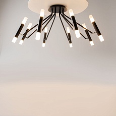 Потолочная люстра Maytoni Vigo MOD620CL-16B 5