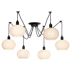 Подвесная люстра Lussole Lgo Shirley LSP-8438