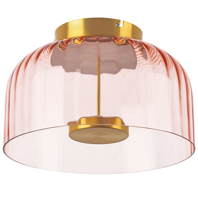 Потолочный светодиодный светильник Lightstar Celesta 809062 изображение 1 Потолочный светодиодный светильник Lightstar Celesta 809062 Фото № 1