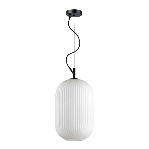Подвесной светильник Odeon Light Pendant Roofi 4752/1 Фото № 1