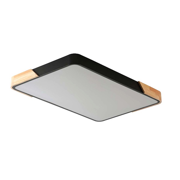 Потолочный светильник Zortes ALBERRO ZRS.01244.60 Фото № 1