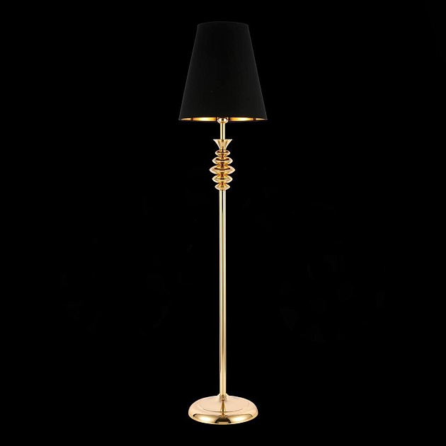 Торшер Evoluce Rionfo SL1137.205.01 Фото № 6