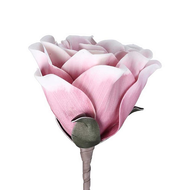 Искусственное растение Eglo MOLAVE 428133 изображение 3 Искусственное растение Eglo MOLAVE 428133 Фото № 3