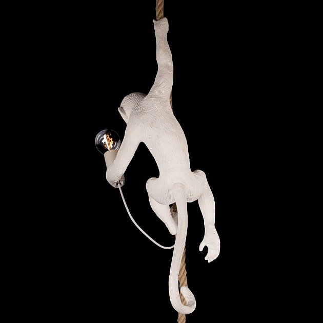 Подвесной светильник Loft IT Monkey 10314P Фото № 8