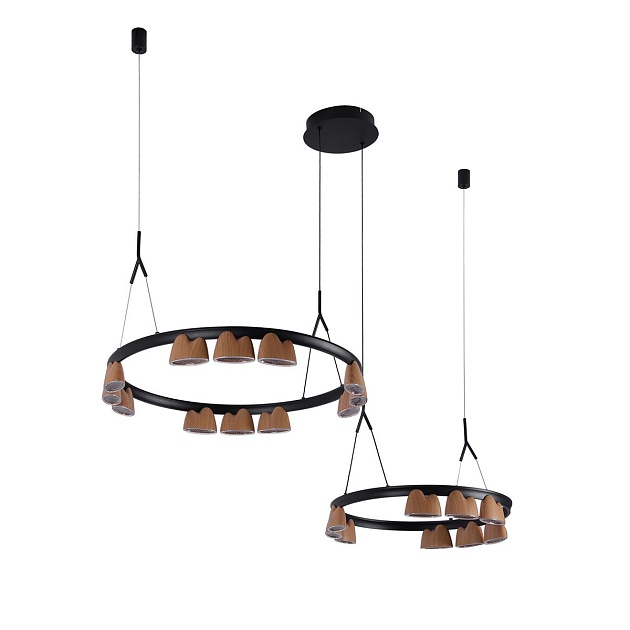 Подвесная светодиодная люстра Favourite Interline 4266-21P Фото № 1