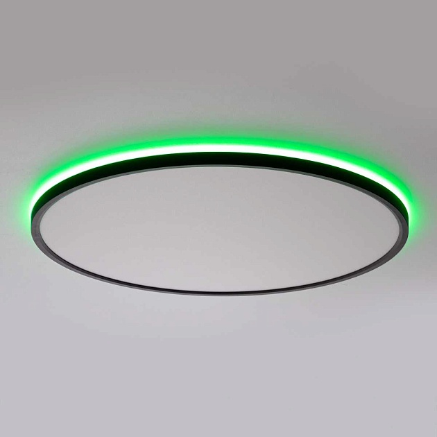 Потолочный светильник Citilux NORMA CL749501 Фото № 24