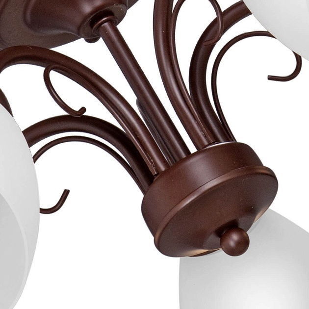 Потолочная люстра Vitaluce V3499/5PL изображение 3 Потолочная люстра Vitaluce V3499/5PL Фото № 3