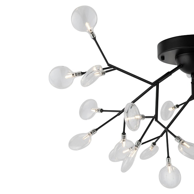 Потолочная люстра Freya Florencia FR5049CL-27B Фото № 4