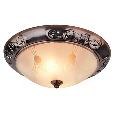 Потолочный светильник Arte Lamp 28 A3014PL-2AC 2
