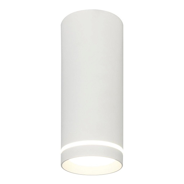 Потолочный светодиодный светильник Escada 20009SMU/02LED SWH Фото № 1