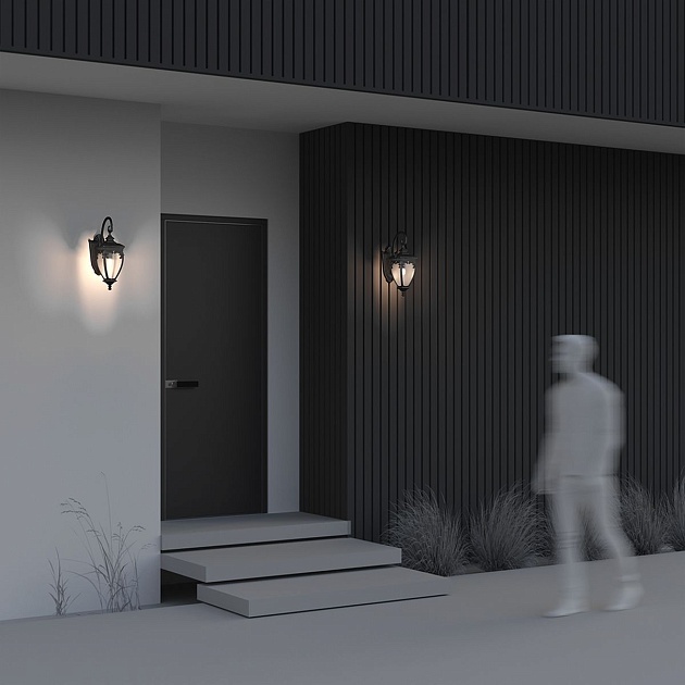 Уличный настенный светильник Maytoni Fleur O414WL-01BZ Фото № 8