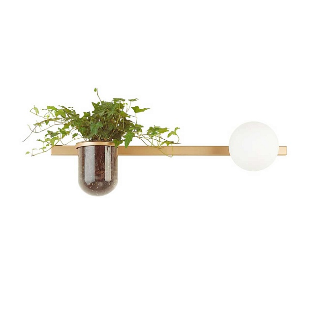 Настенный светильник Odeon Light Walli Flower 4682/1WA Фото № 1