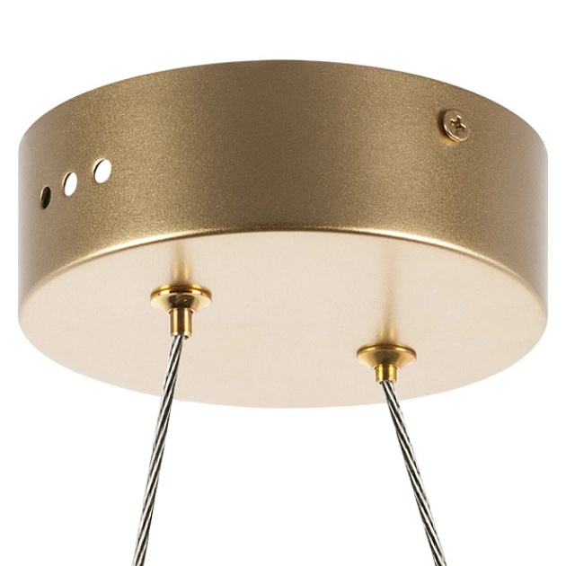 Подвесная светодиодная люстра Lightstar Varese 731313 Фото № 3