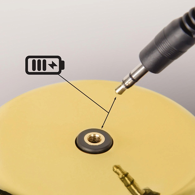 Настольная лампа Loft IT Brothers 10233/C Gold изображение 3 Настольная лампа Loft IT Brothers 10233/C Gold Фото № 3