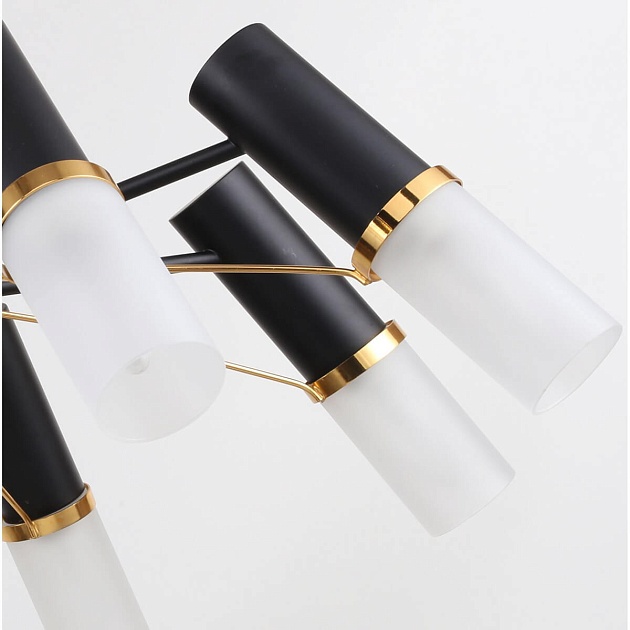 Потолочная люстра F-Promo Viator 2558-8P изображение 6 Потолочная люстра F-Promo Viator 2558-8P Фото № 6