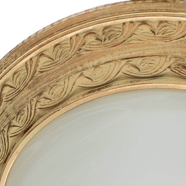 Потолочный светильник Arte Lamp Piatti A8014PL-2WA изображение 3 Потолочный светильник Arte Lamp Piatti A8014PL-2WA Фото № 3