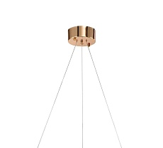 Подвесной светильник Zortes RINGER ZRS.57792.96 4