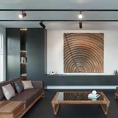 Трековый светильник однофазный трехжильный Novotech SELENE 359161 3