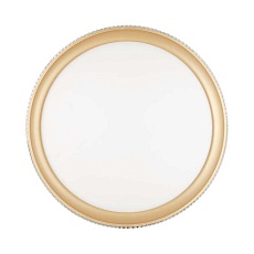 Настенно-потолочный светодиодный светильник Sonex Pale Shiny 3054/DL 1