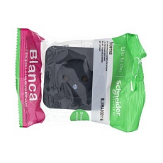 Розетка 2К Systeme Electric Blanca 16A 250V антрацит BLNRA000116