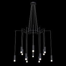 Подвесная люстра Maytoni Davida MOD035PL-12B 3