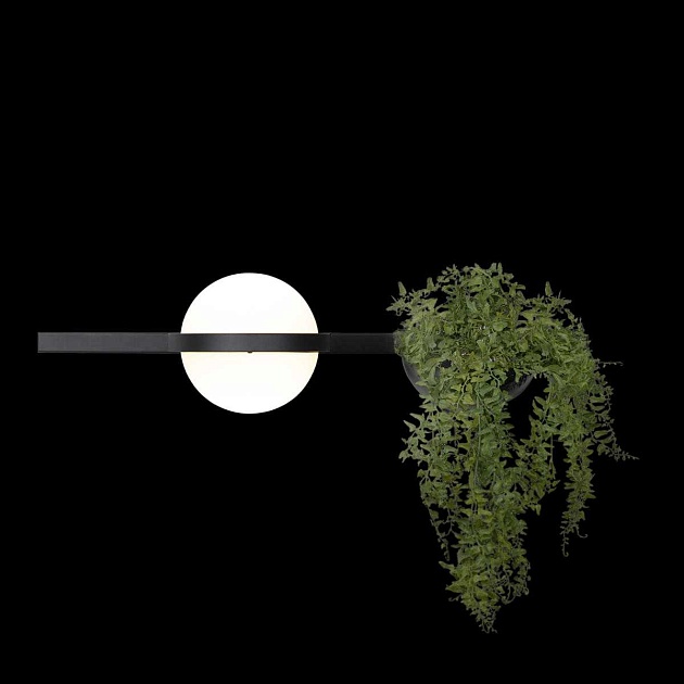 Настенный светильник LOFT IT Jardin 10121W/A Фото № 3