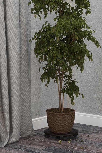 Подставка для цветов Мебелик Спираль (2шт) 005239 изображение 4 Подставка для цветов Мебелик Спираль (2шт) 005239 Фото № 4