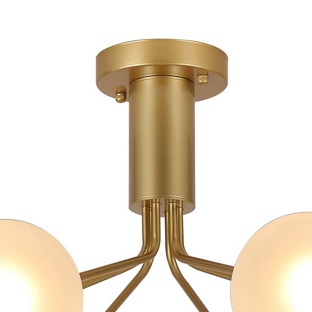 Потолочная люстра F-Promo Pax 2631-6U Фото № 7