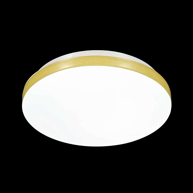 Настенно-потолочный светодиодный светильник Sonex Mini Smalli 3066/AL Фото № 3