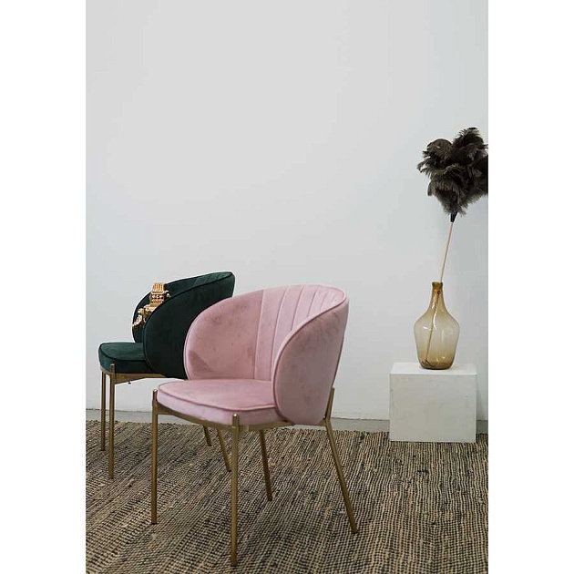 Кухонный стул Bergenson Bjorn Coral BEAR-CO10815 изображение 14 Кухонный стул Bergenson Bjorn Coral BEAR-CO10815 Фото № 14